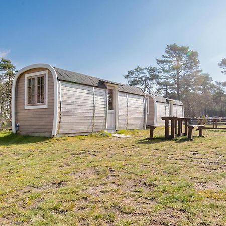 Naturcamping Lueneburger Heide - Chalets & Tiny Haeuser Soltau Eksteriør billede