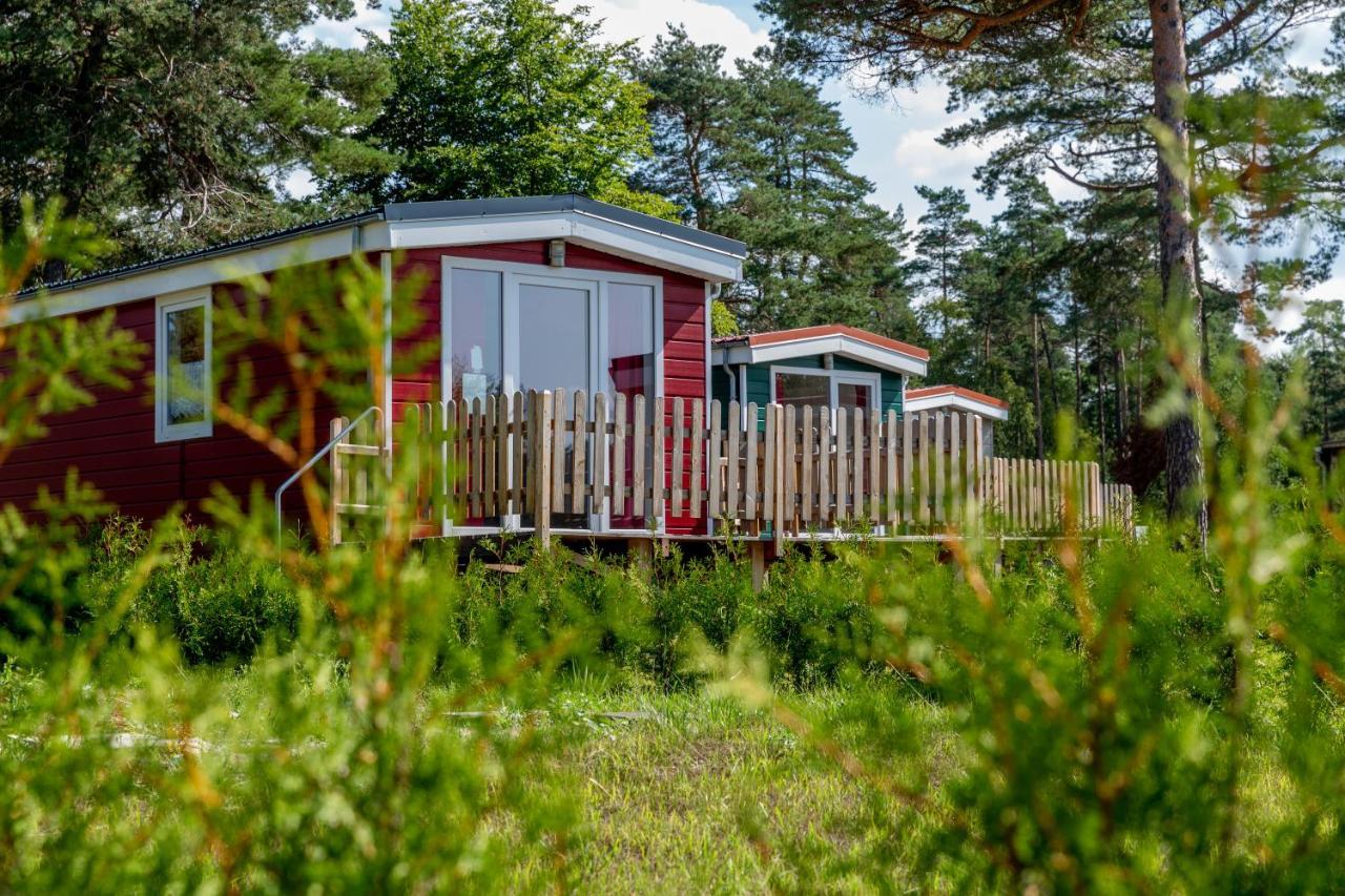 Naturcamping Lueneburger Heide - Chalets & Tiny Haeuser Soltau Eksteriør billede