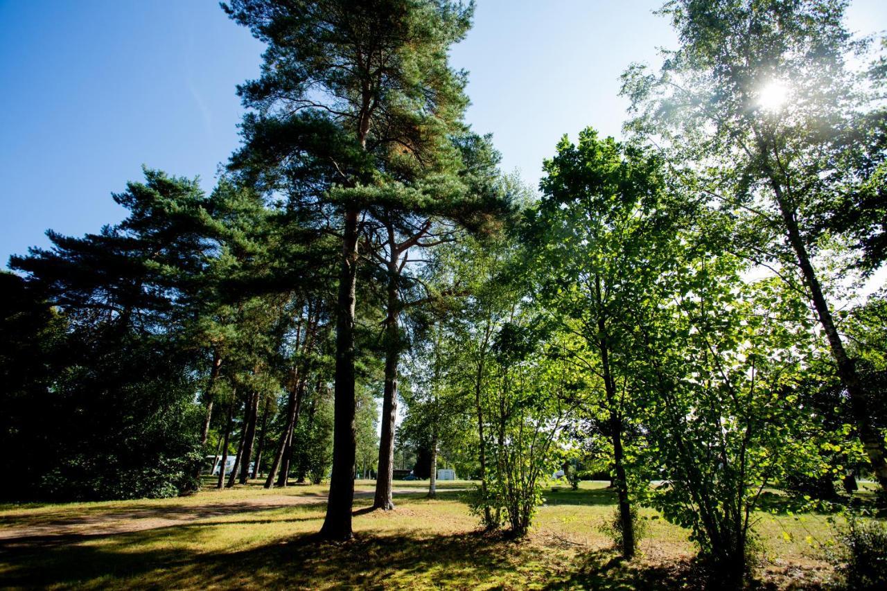 Naturcamping Lueneburger Heide - Chalets & Tiny Haeuser Soltau Eksteriør billede