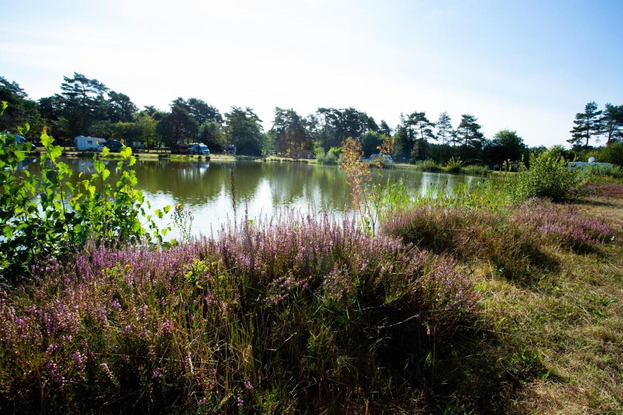 Naturcamping Lueneburger Heide - Chalets & Tiny Haeuser Soltau Eksteriør billede