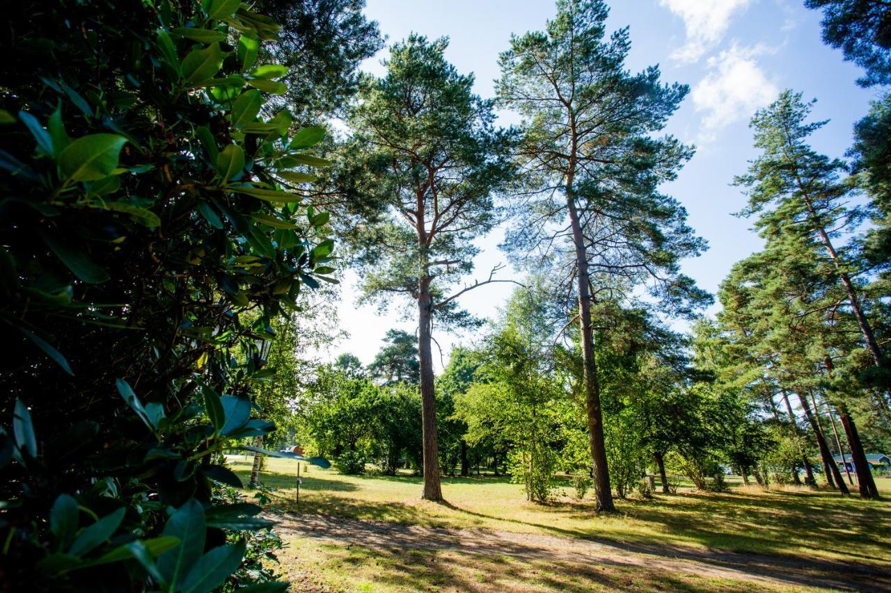 Naturcamping Lueneburger Heide - Chalets & Tiny Haeuser Soltau Eksteriør billede